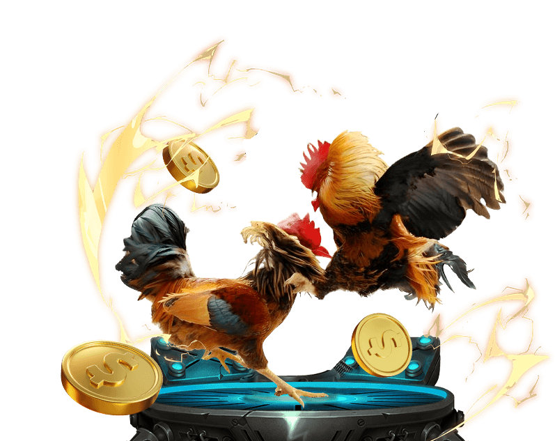 Cá Cược Đá Gà Go 88